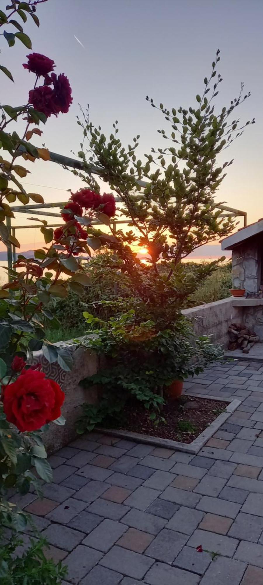 Ferienwohnung Mustapictanja Bibinje Exterior foto